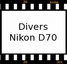 Divers D70