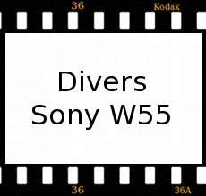 Divers Sony W55